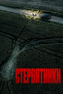 Стервятники